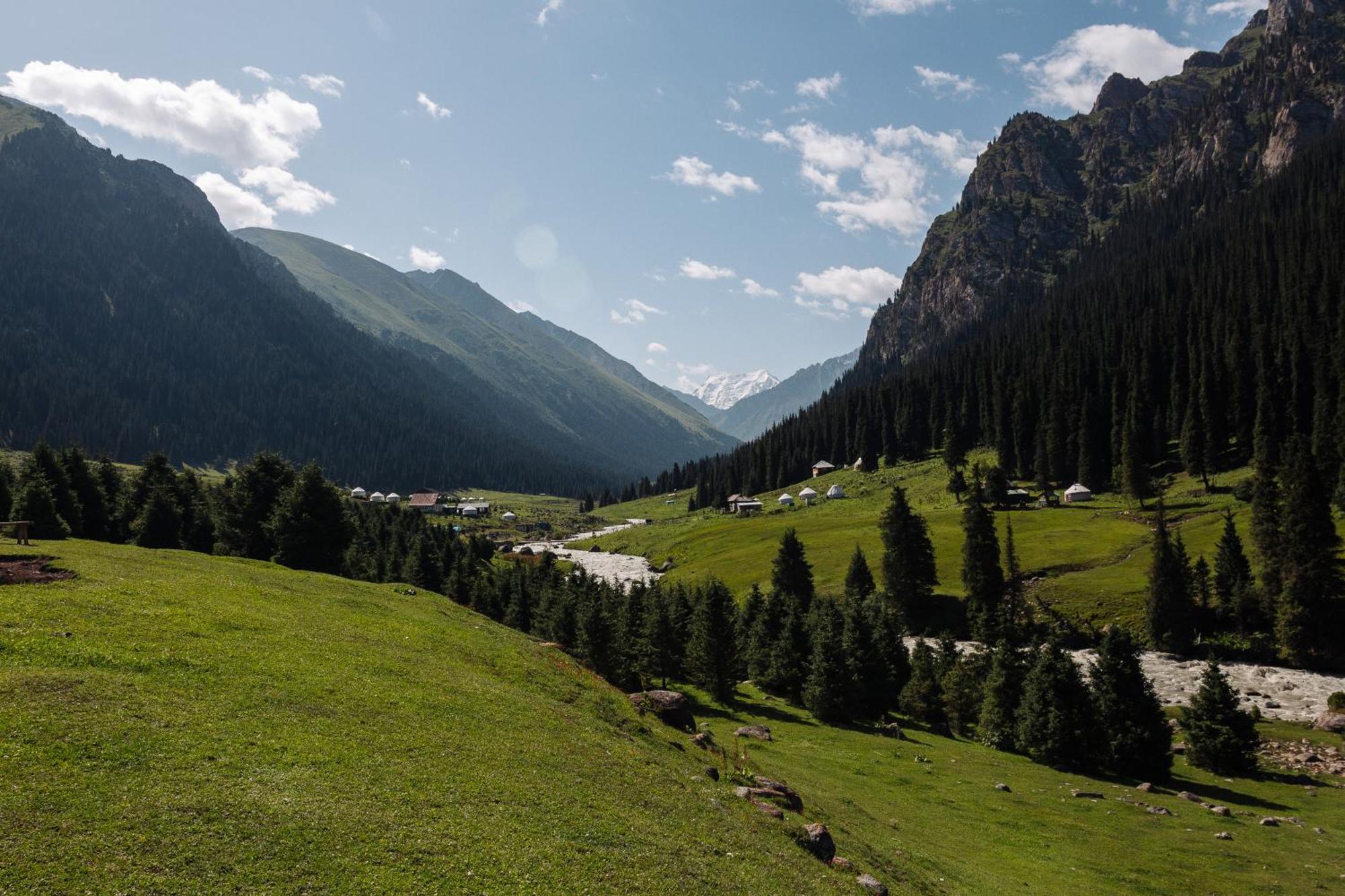Hotel Eco Yurt Camp Arashan Teploklyuchenka Zewnętrze zdjęcie