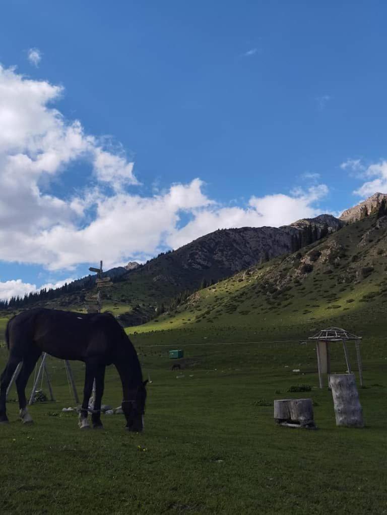 Hotel Eco Yurt Camp Arashan Teploklyuchenka Zewnętrze zdjęcie