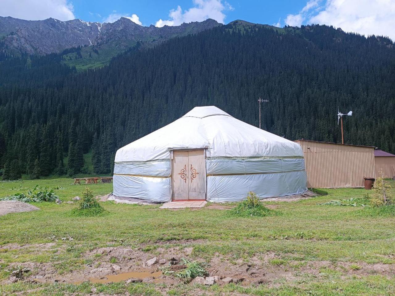 Hotel Eco Yurt Camp Arashan Teploklyuchenka Zewnętrze zdjęcie